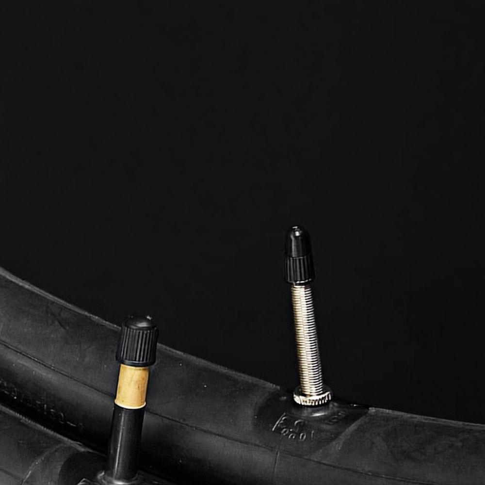 Neumático de bicicleta de carr - Cycling Gear And Equipment reseña y precio